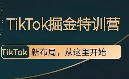 TikTok Dou+掘金特训营（第二期）