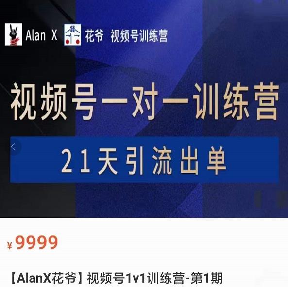 AlanX花爷·视频号引流出单训练营，视频号引流出单必杀技-1